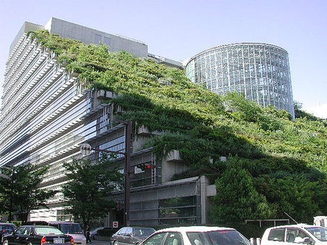 [Telhado-Verde-do-Edif%25C3%25ADcio-ACROS-Fukuoka-Japao%255B5%255D.jpg]
