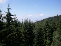 IMG_20110813_130715.jpg Photo
