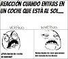 ¿Cómo reaccionas cuando tu coche está bajo el sol? ¿Cómo reaccionas cuando tu coche está bajo el sol?