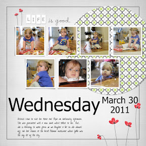 picasa image
