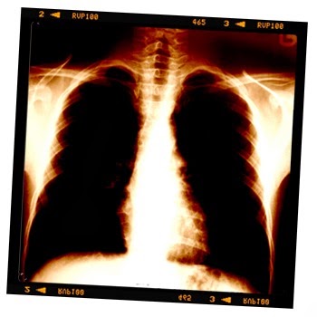 [photo_27%255B3%255D.jpg]