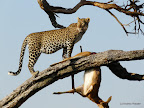Masai Mara