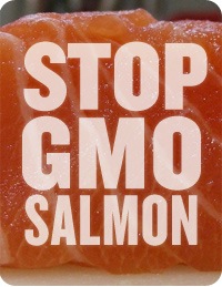 [stop_gmo_salmon.jpg]