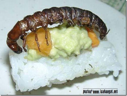 japanbizarrefoodstrange (5) japanbizarrefoodstrange (5)