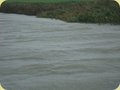 wind at b100 nov 2011 038
