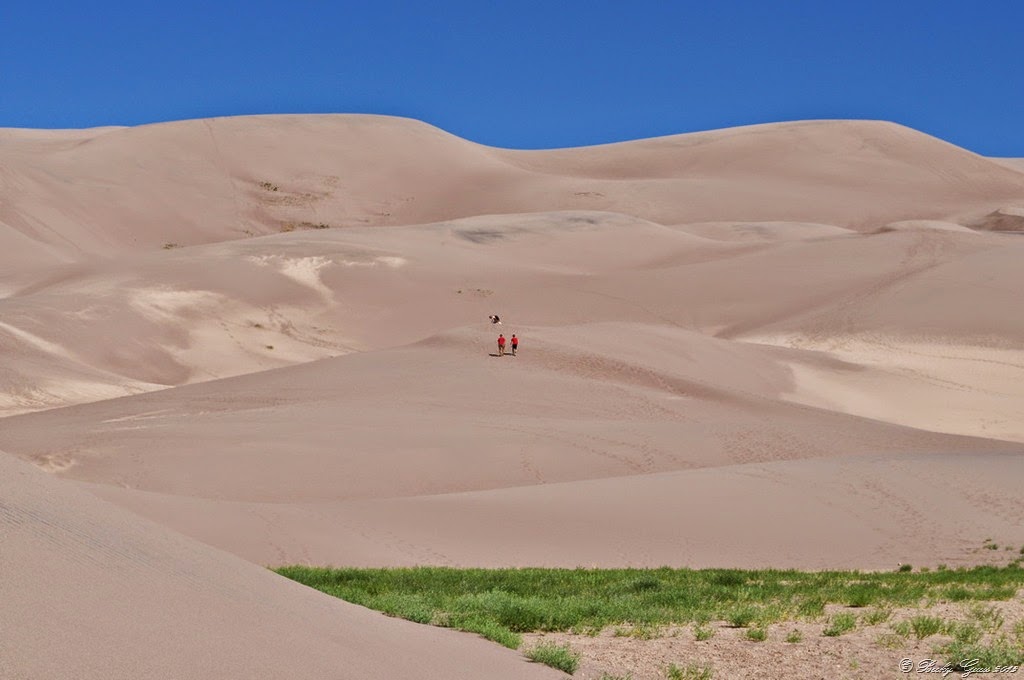 [07-06-14-Great-Sand-Dunes-333.jpg]