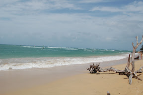 DSC_0872.JPG