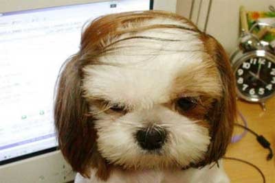 [comb_overs_37%255B2%255D.jpg]