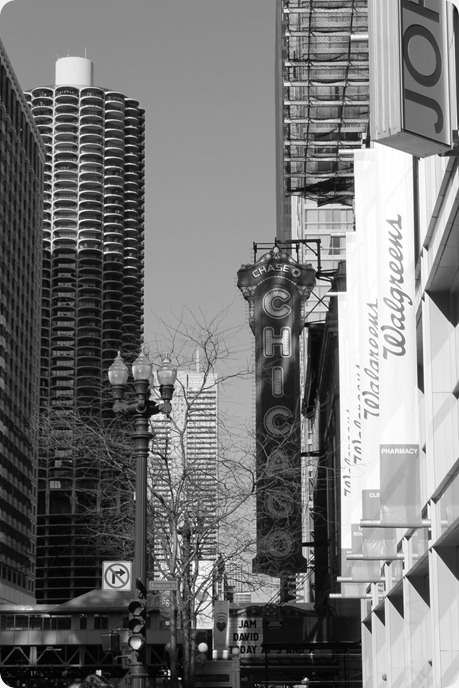 chicago black and white downtown chicago black and white downtown