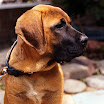 20070607034-Edit.jpg