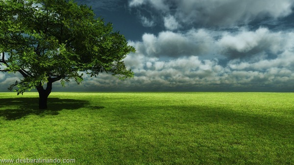 wallpapers-papei-de-parede-paisagem-natureza-nature-desbaratinando (38) wallpapers-papei-de-parede-paisagem-natureza-nature-desbaratinando (38)