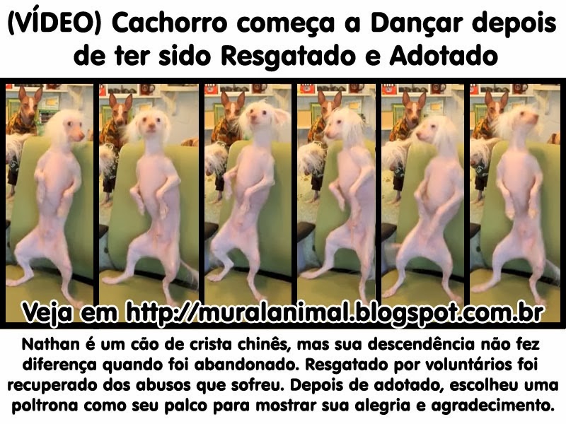 [cao-nathan%255B3%255D.jpg]