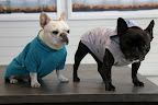 Sporty Spring Fashions