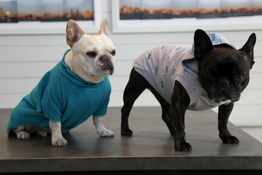 Oh Sharkey, I can't wait until the weather really turns springlike so we can go out wearing all of our new sporty fashions from Martha Stewart Pets at PetSmart!