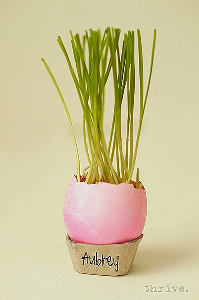 Easter Egg Wheat Grass Centerpiece from THRIVE