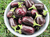 Oogst aubergines