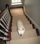 Francesca!  Hurry up and get to the third floor craft room.  We're going to be late for our very first Sirius radio show broadcast, Ask Frenchies!