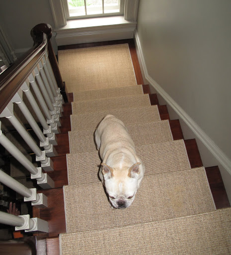 Francesca!  Hurry up and get to the third floor craft room.  We're going to be late for our very first Sirius radio show broadcast, Ask Frenchies!