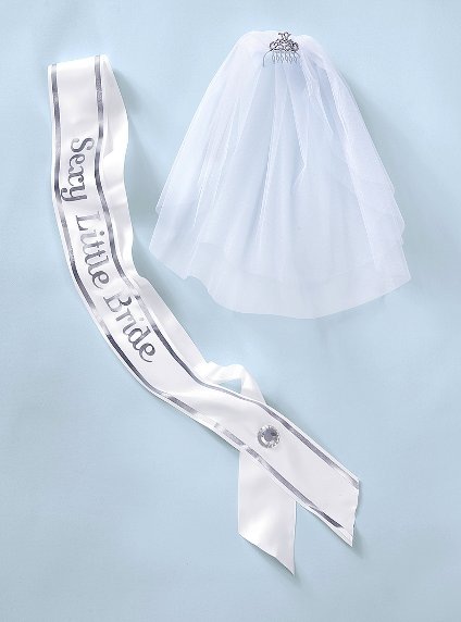 [bride%2520sash%2520and%2520veil%255B2%255D.jpg]