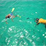 snorkling%252520 %252520kopie foto album Oman
