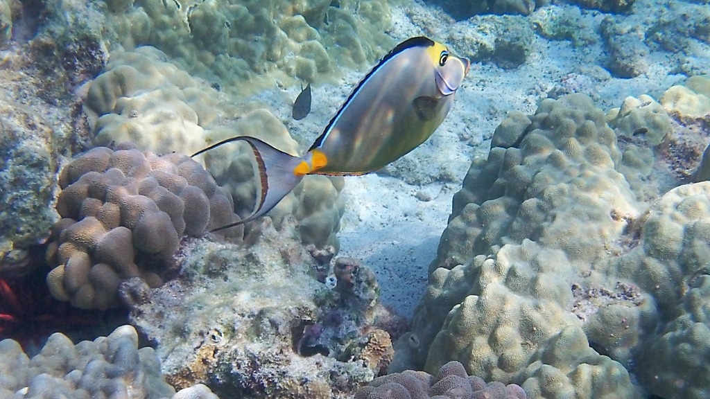 [20121217-100_06984.jpg]