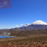 Arica - Parque Nacional Lauca (17 de 48).jpg