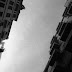 R0028203.JPG