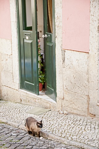 [1304_lisbon_0970%255B6%255D.jpg]