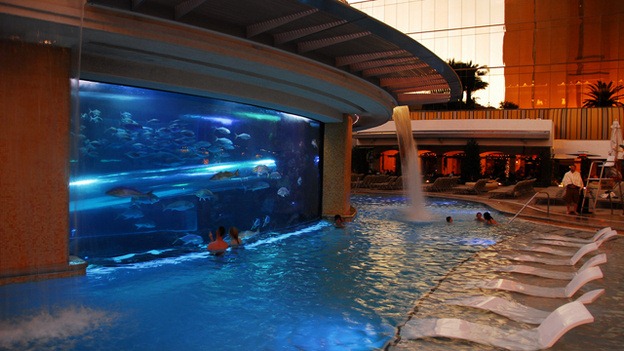 Aquarium Pool Golden Nugget, Las Vegas