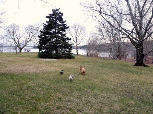 G.K.!  Slow down!  Francesca and I can barely keep up!  Plus, we don't want to stray too far away!