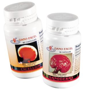 ganoderma capsula ganoderma capsula