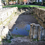 DSC_7383-2.jpg