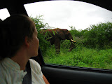 South Africa - 052.JPG