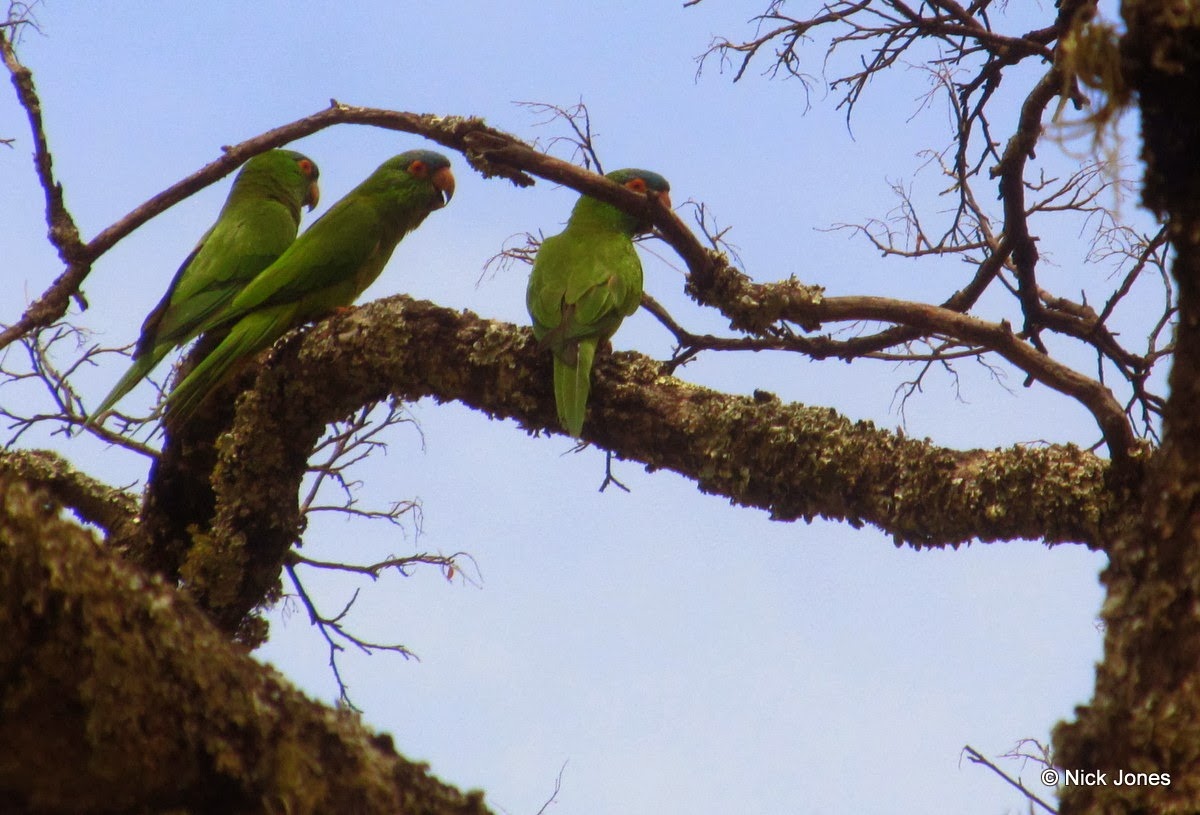 [IMG_6152%255B4%255D.jpg]