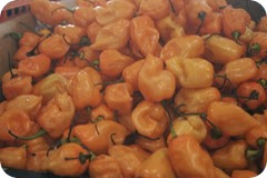 IMG_6855 IMG_6855