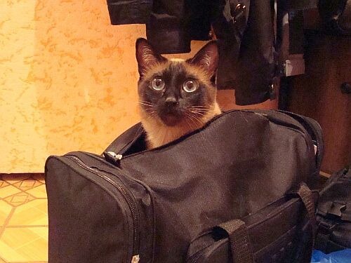 [clip_image002%5B4%5D.jpg]