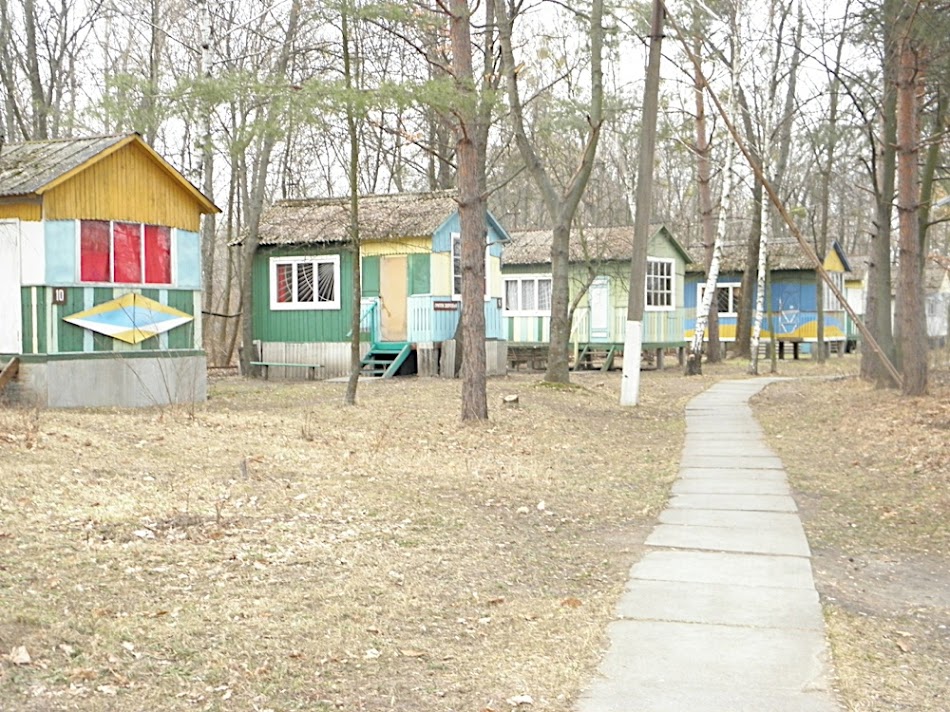 2011-03-26 082917 w_e0bffed2.jpg