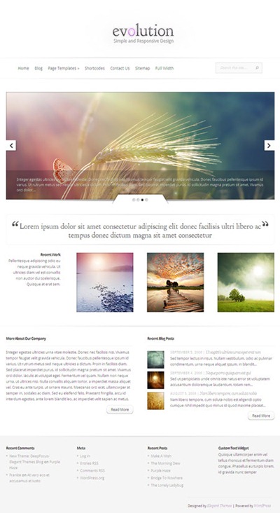 evolution WP theme review