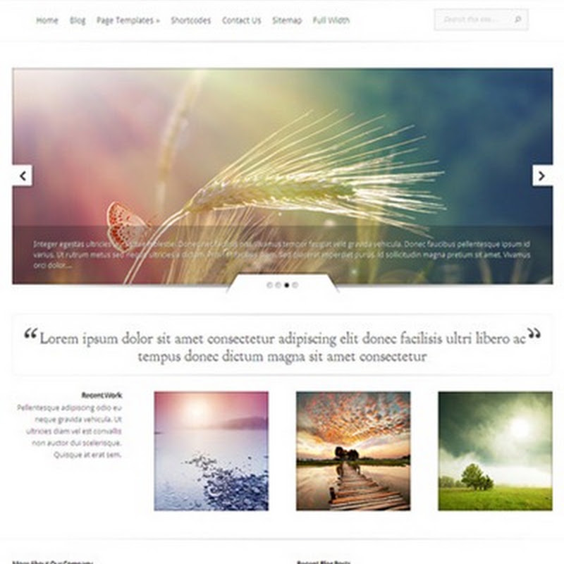 Awesome WordPress Themes