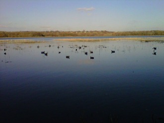 IMG00307-20111106-1521