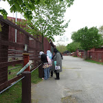 P1090635.JPG