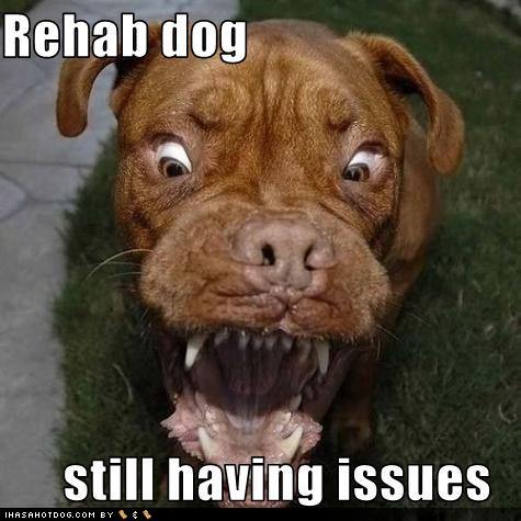 Funny  Pictures on Funny Dog Pictures Rehab Dog Has Issues Jpg Tags Funny Humor