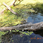 DSCN2959.JPG