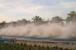 IMG_0461.JPG