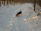 IMG124.jpg