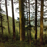 Neahkahnie_Peak2.jpg