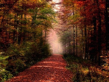 Wonderful-Autumn8