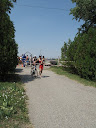 IMG_1103.jpg