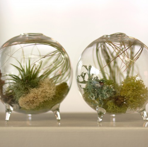 [unique_hostess_gift_2011_aerium_plan.png]