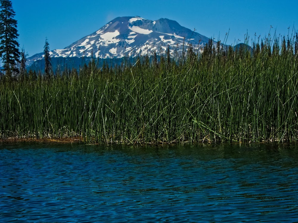 Picture from Hosmer Lake